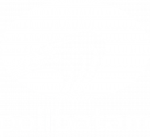 navbar brand